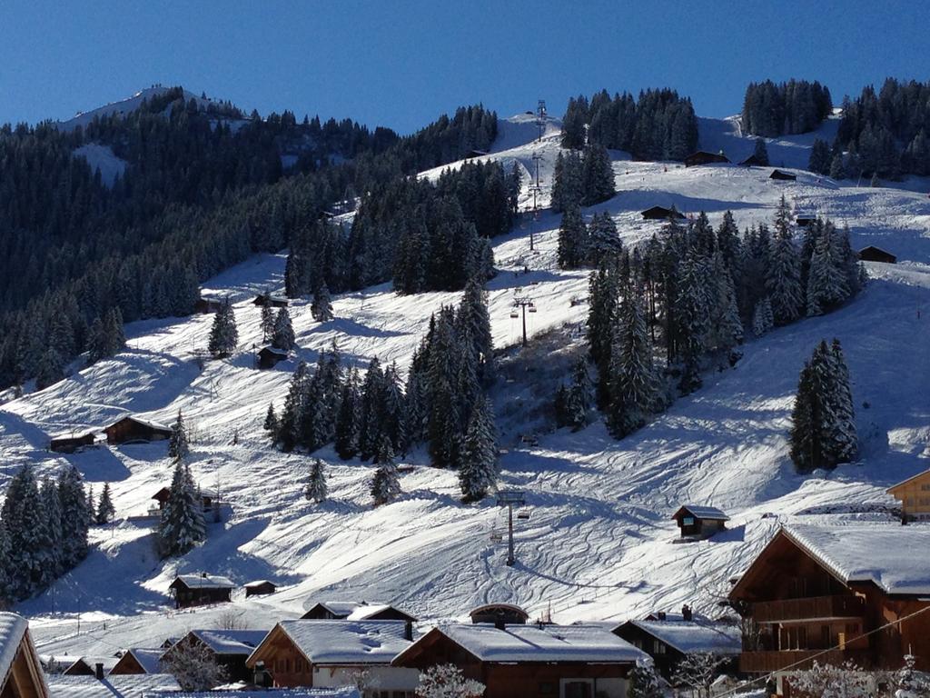 Chalet Butterfly Adelboden Oda fotoğraf